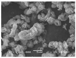 A method for dual utilization of low-grade magnesite magnesium and carbon