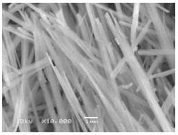 A method for dual utilization of low-grade magnesite magnesium and carbon