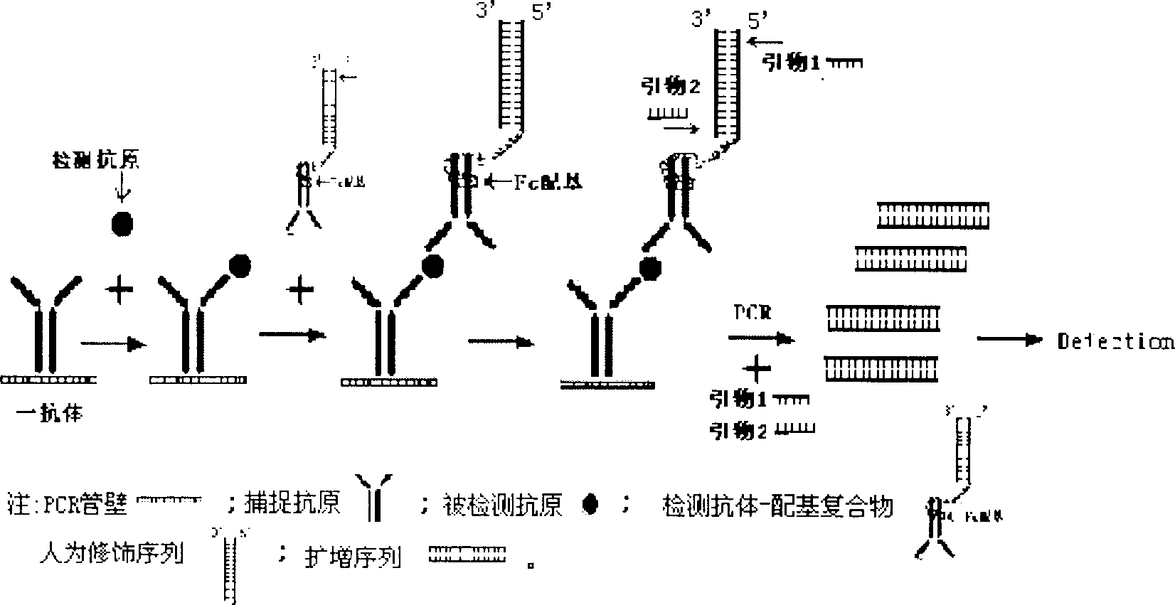 Antigen and ligand PCR pipe detecting reagent case, its manufacturing method and application