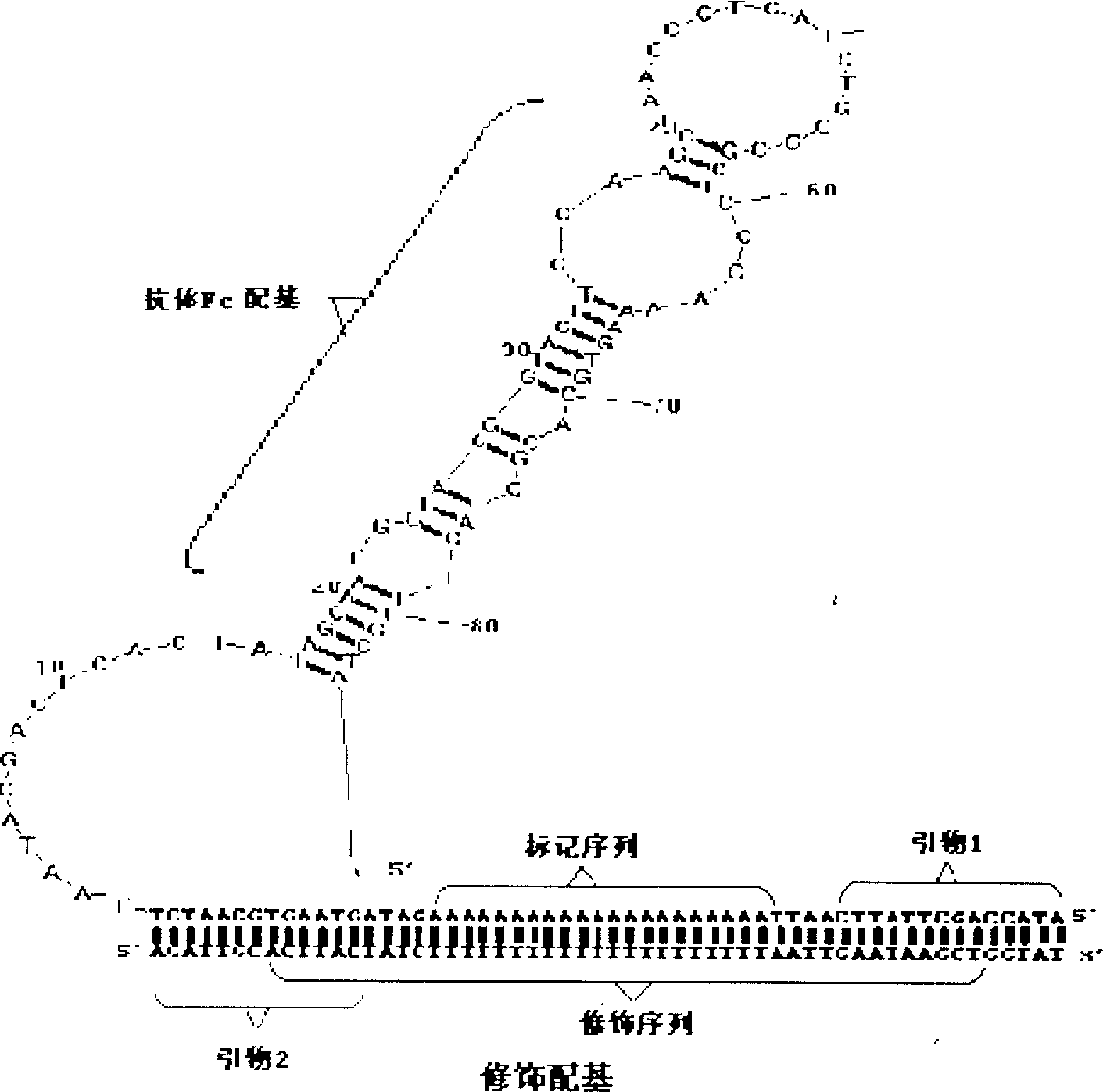 Antigen and ligand PCR pipe detecting reagent case, its manufacturing method and application