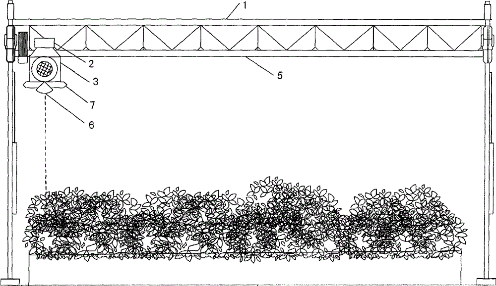 Three-dimensional reconstruction and measurement device and method of greenhouse strawberry canopy