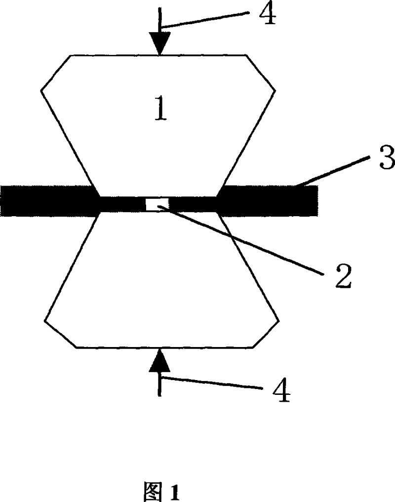 Method for measuring thickness of sample on diamond anvil cell