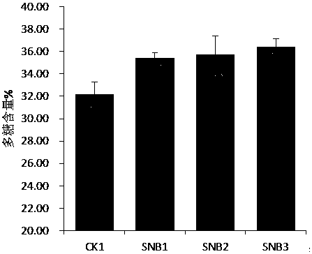 A pine bark-biochar matrix for the cultivation of Dendrobium officinale