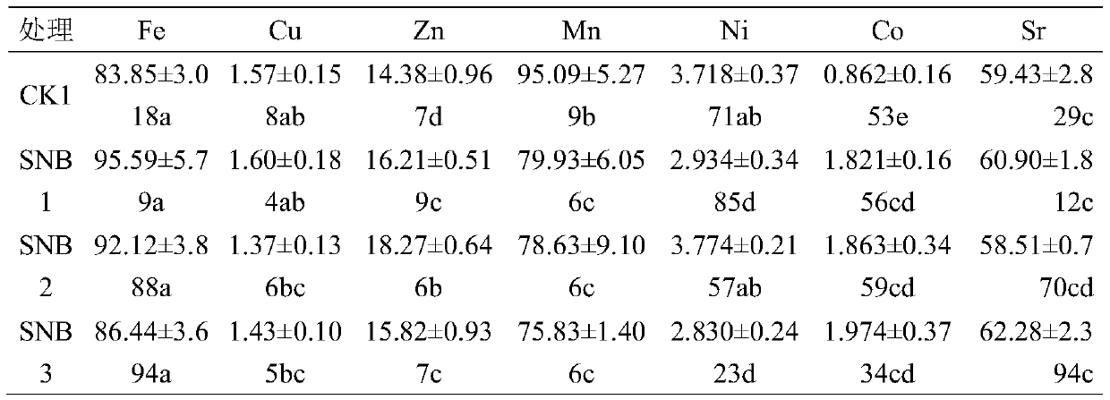 A pine bark-biochar matrix for the cultivation of Dendrobium officinale