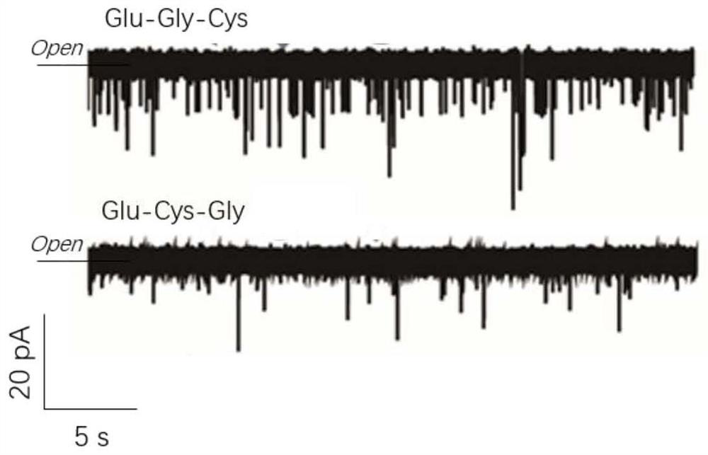 Protein/polypeptide sequencing method adopting Aerolysin nanopores