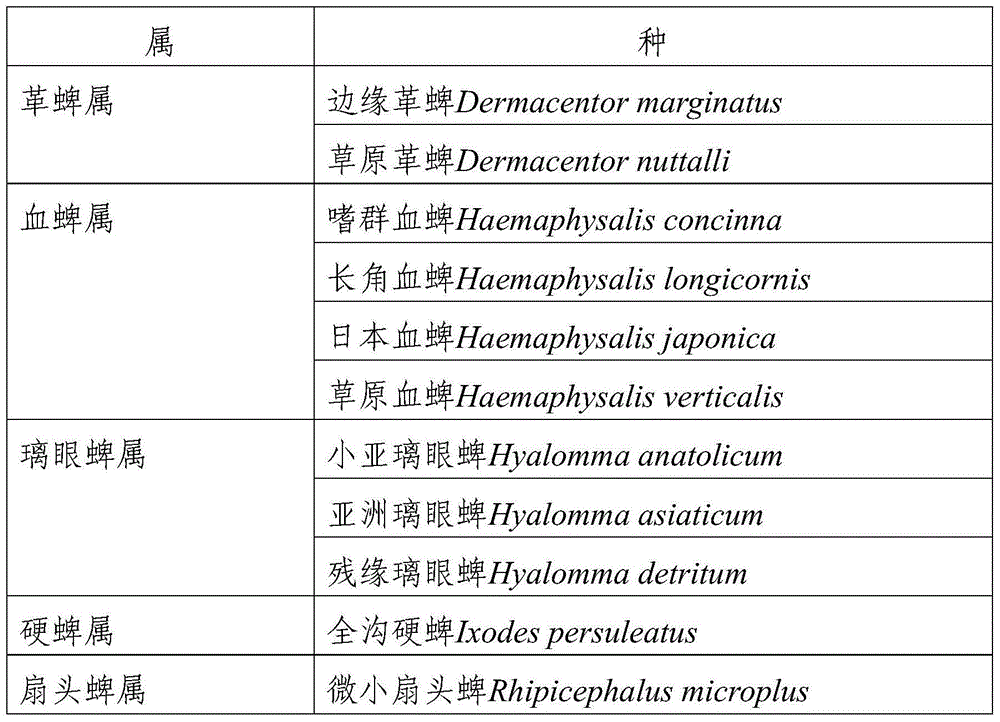 Amplification primers of ixodidae tick COIII full-length gene sequence and application thereof