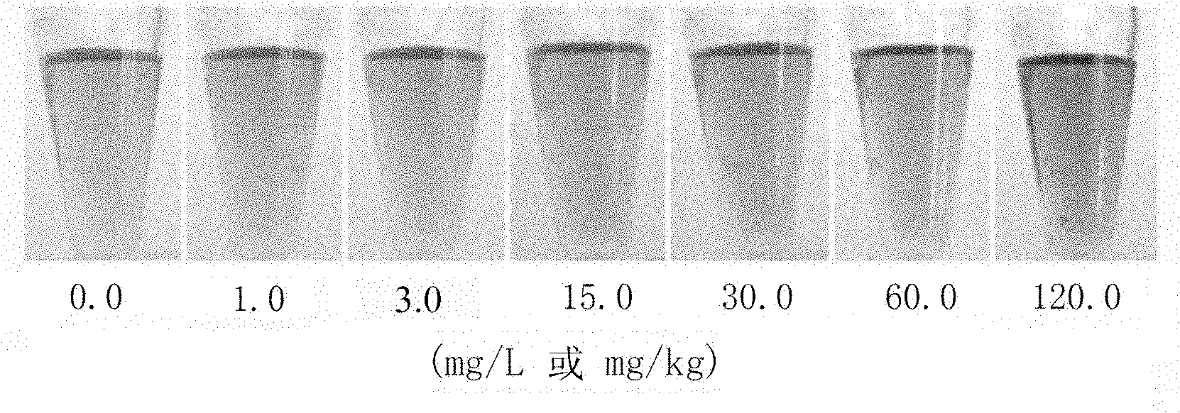 Kit and method for detecting melamine by virtue of fast visual colorimetry