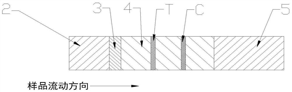 Novel coronavirus detection kit and preparation method thereof