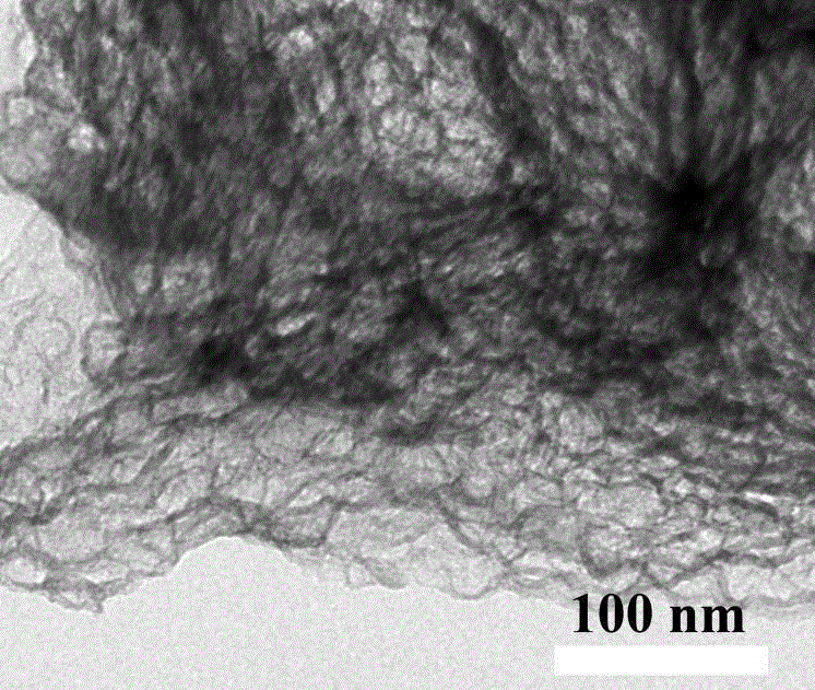 Preparation method and application of graded porous carbon material