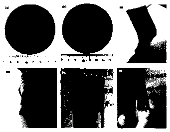 Large area multifunction graphene film preparation method