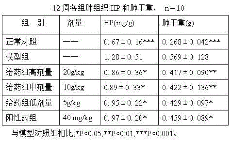 Beverage for preventing and treating respiratory diseases caused by haze and preparation method thereof