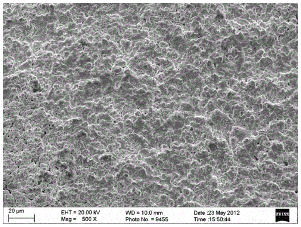 Preparation method of composite alloy coating on tantalum-tungsten alloy