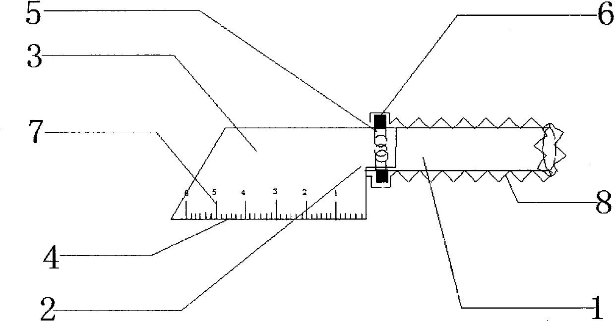 Novel portable ruler