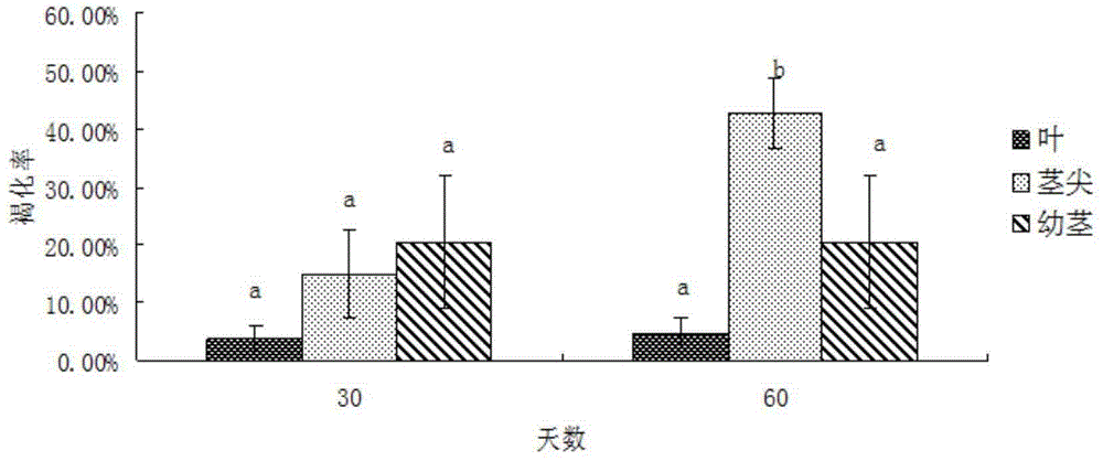 Method for constructing lotus regeneration system