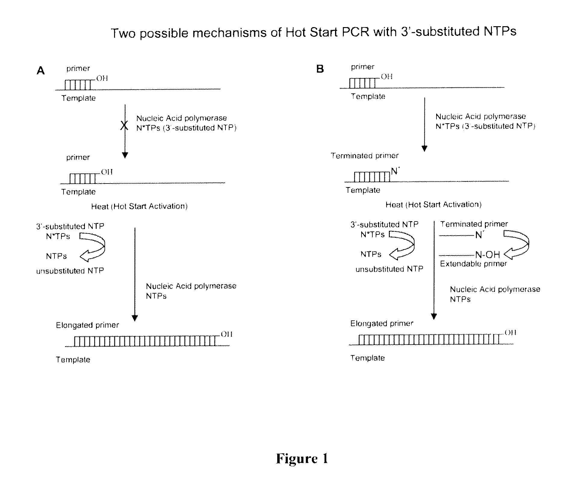 Chemically modified nucleoside 5′-triphosphates for thermally initiated amplification of nucleic acid