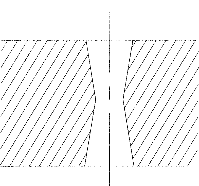 Novel nuclear pore membrane