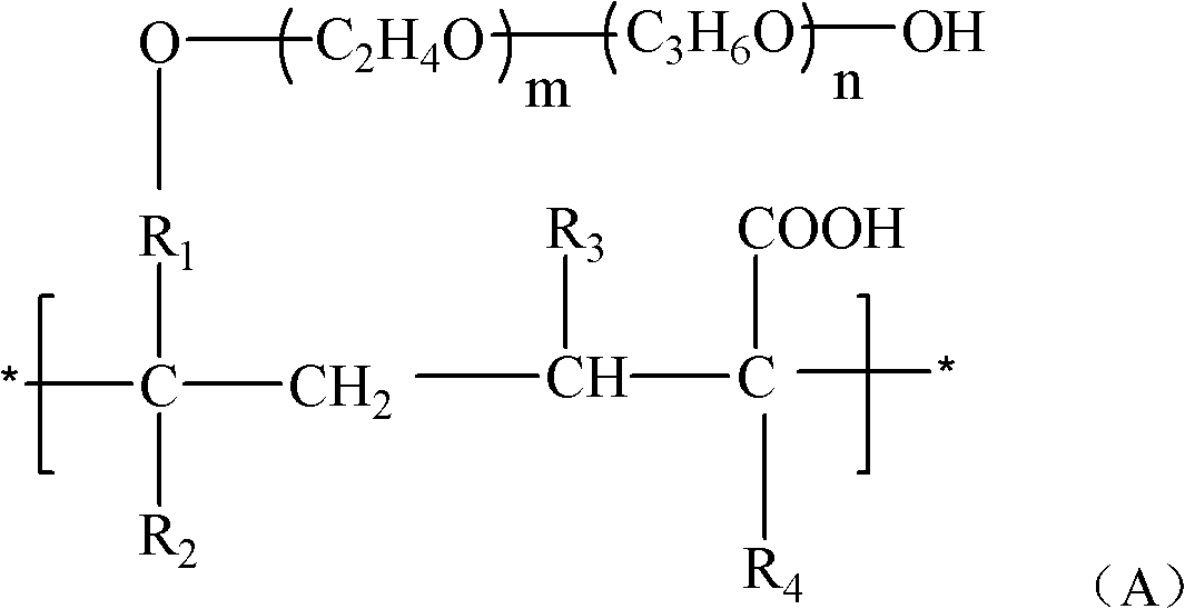 Concrete polycarboxylate water reducer and preparation method thereof