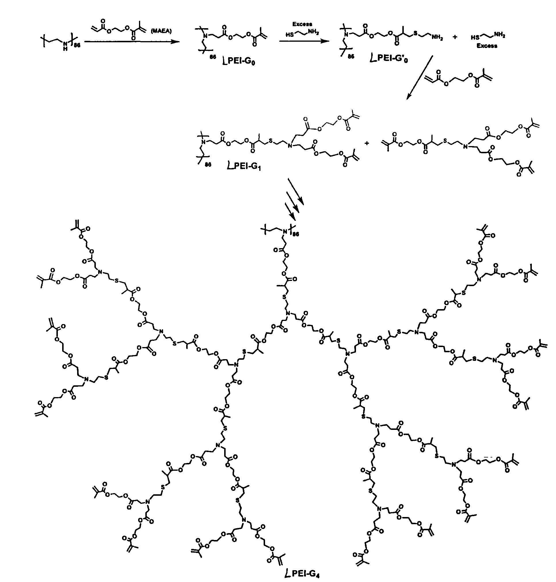 Method for preparing dendritic macromolecule of polyester