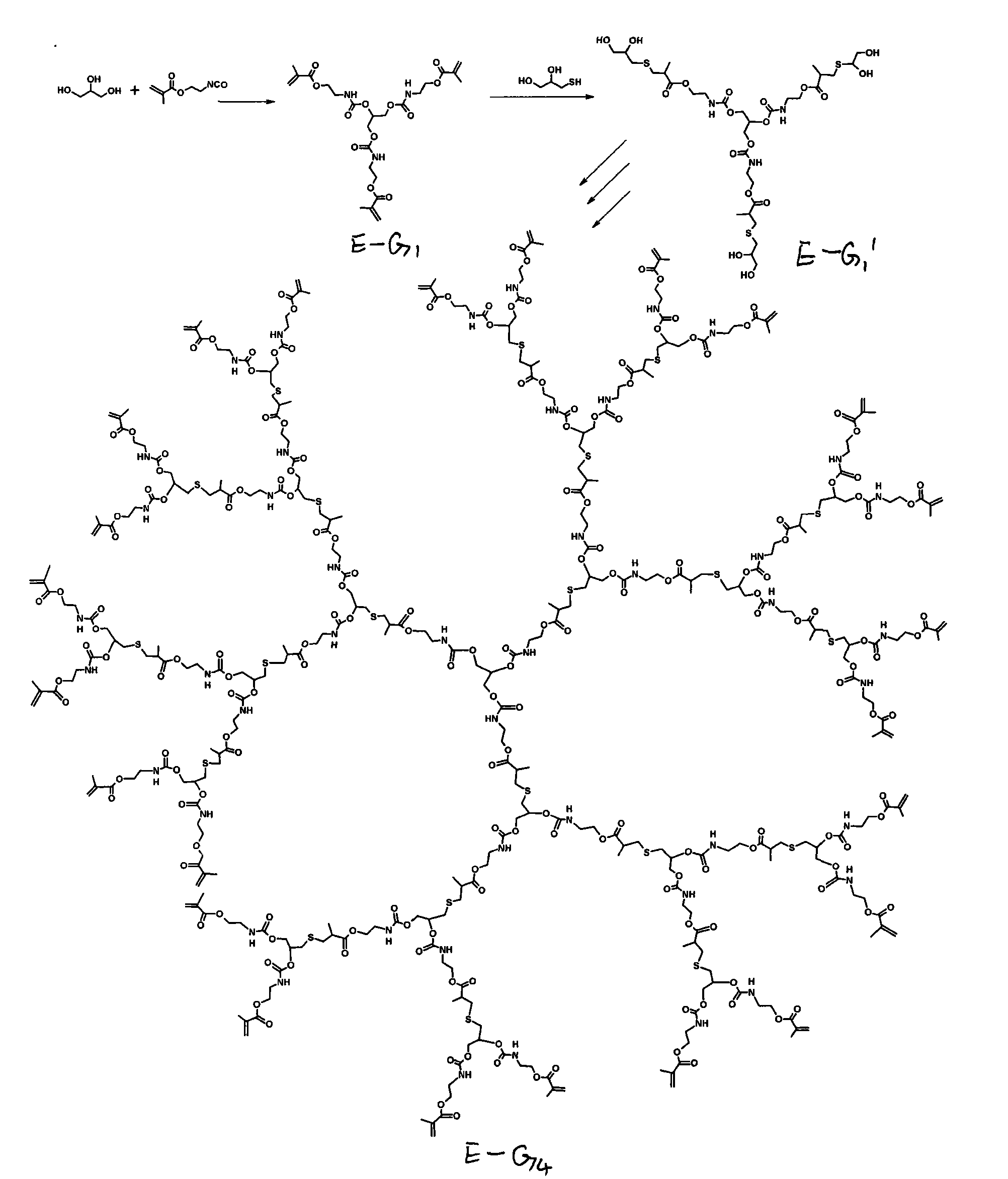 Method for preparing dendritic macromolecule of polyester