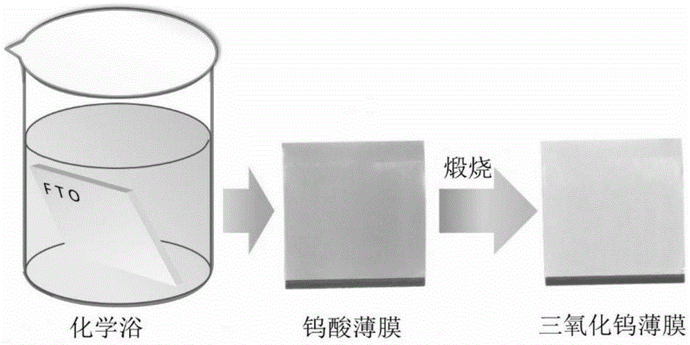 Preparation method and application research of WO3 nanosheet array film