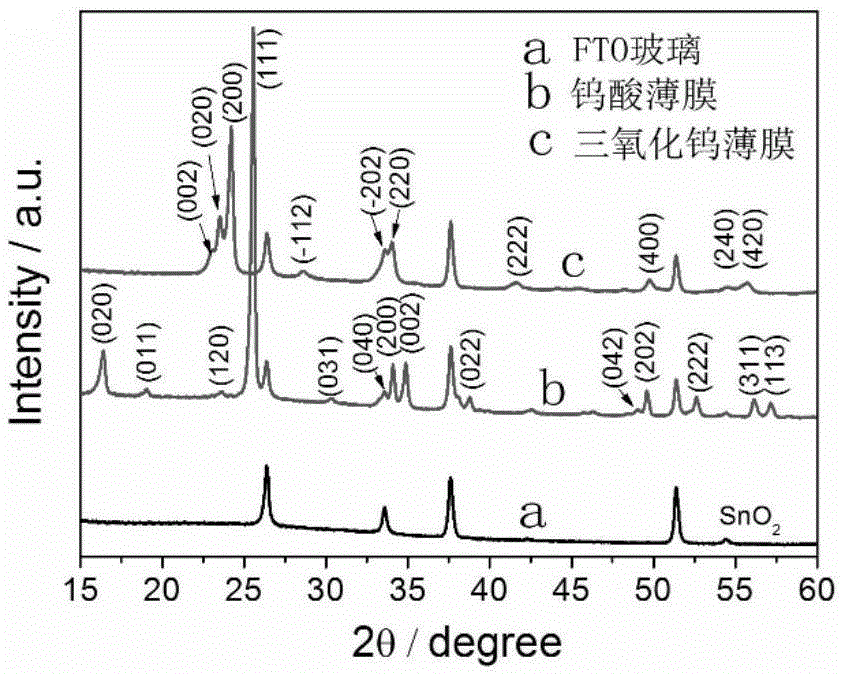 Preparation method and application research of WO3 nanosheet array film