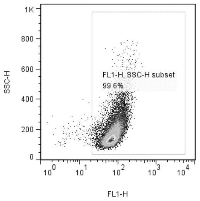 A method for constructing hafft1 cells