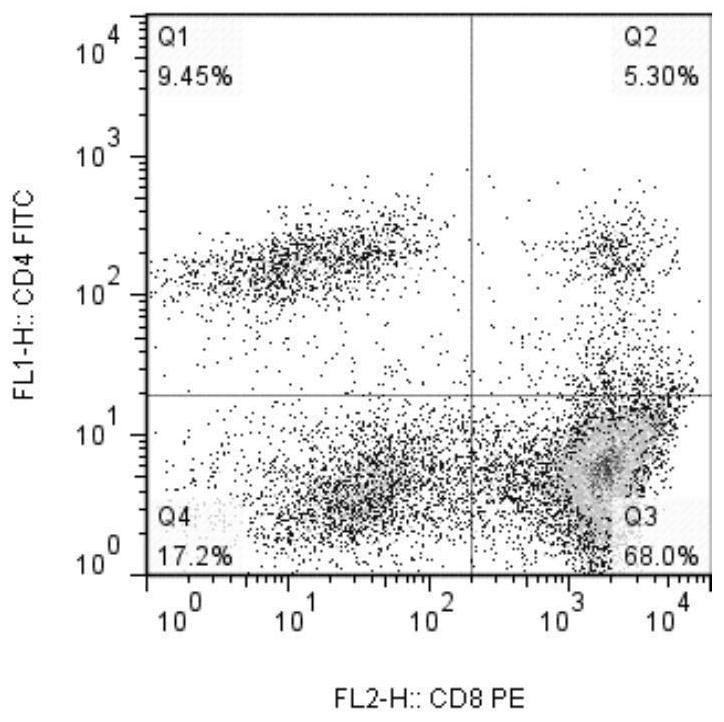 A method for constructing hafft1 cells