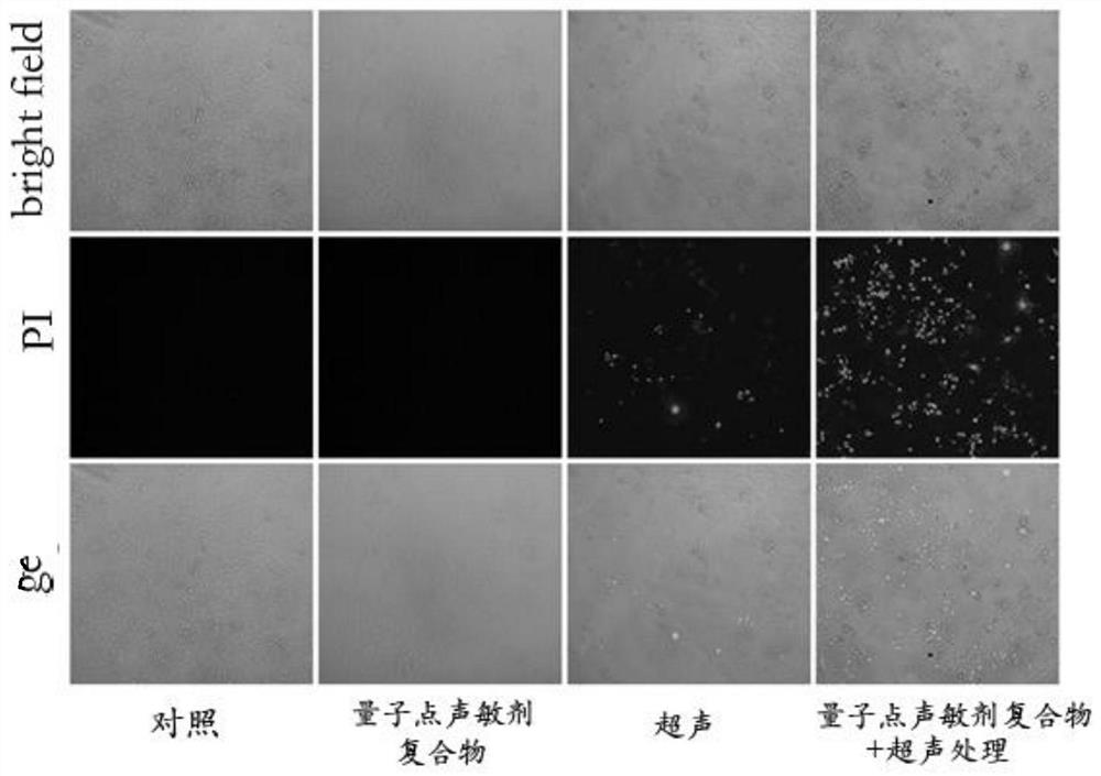 Target molecule positioning method and positioning system for sonodynamic therapy