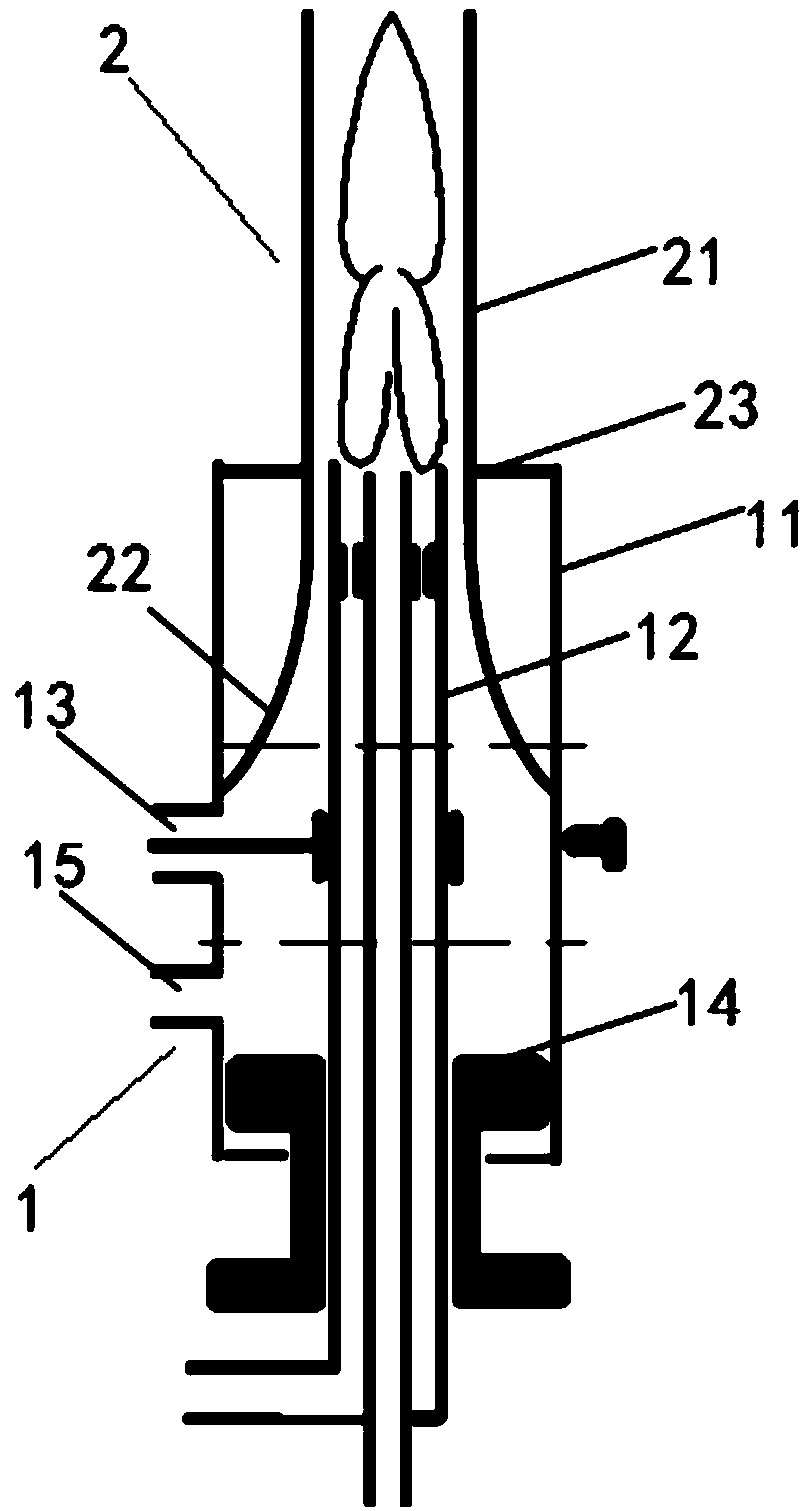 Shielding device for microwave plasma torch