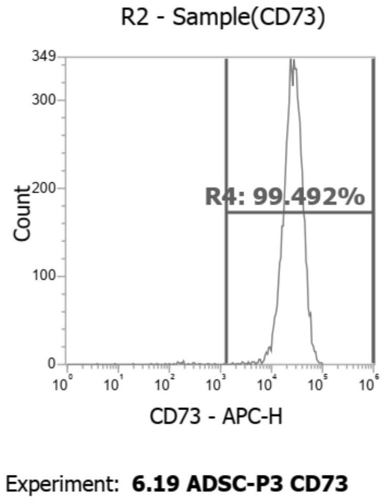 Serum-free medium and preparation method thereof