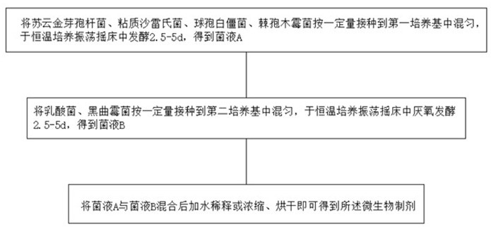 A kind of microbial preparation and organic fertilizer for preventing and treating rice blight