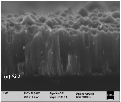 CrSiC composite coating for water-based liquid environment as well as preparation method and application of CrSiC composite coating