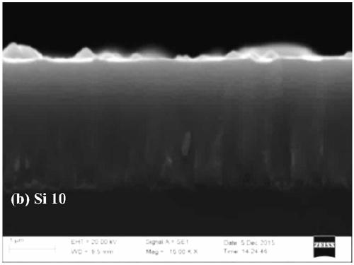 CrSiC composite coating for water-based liquid environment as well as preparation method and application of CrSiC composite coating