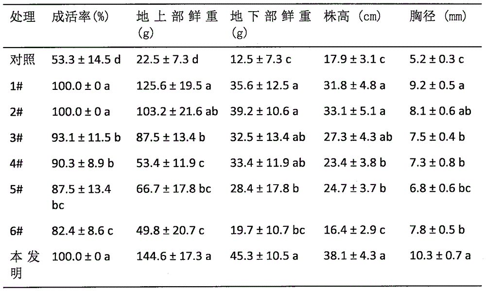 Method for optimizing nursery-grown plant cultivation by using ectomycorrhizal fungi