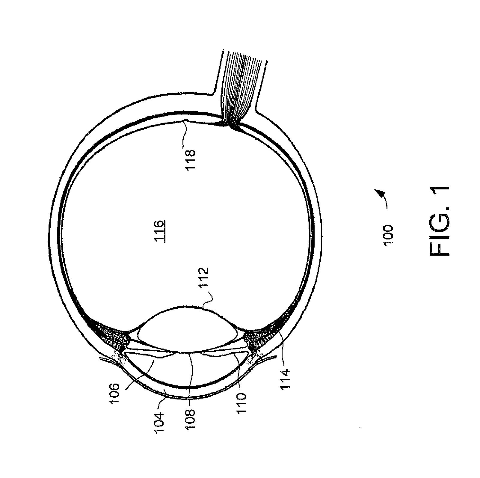 System and method for corneal pachymetry using plenoptic imaging