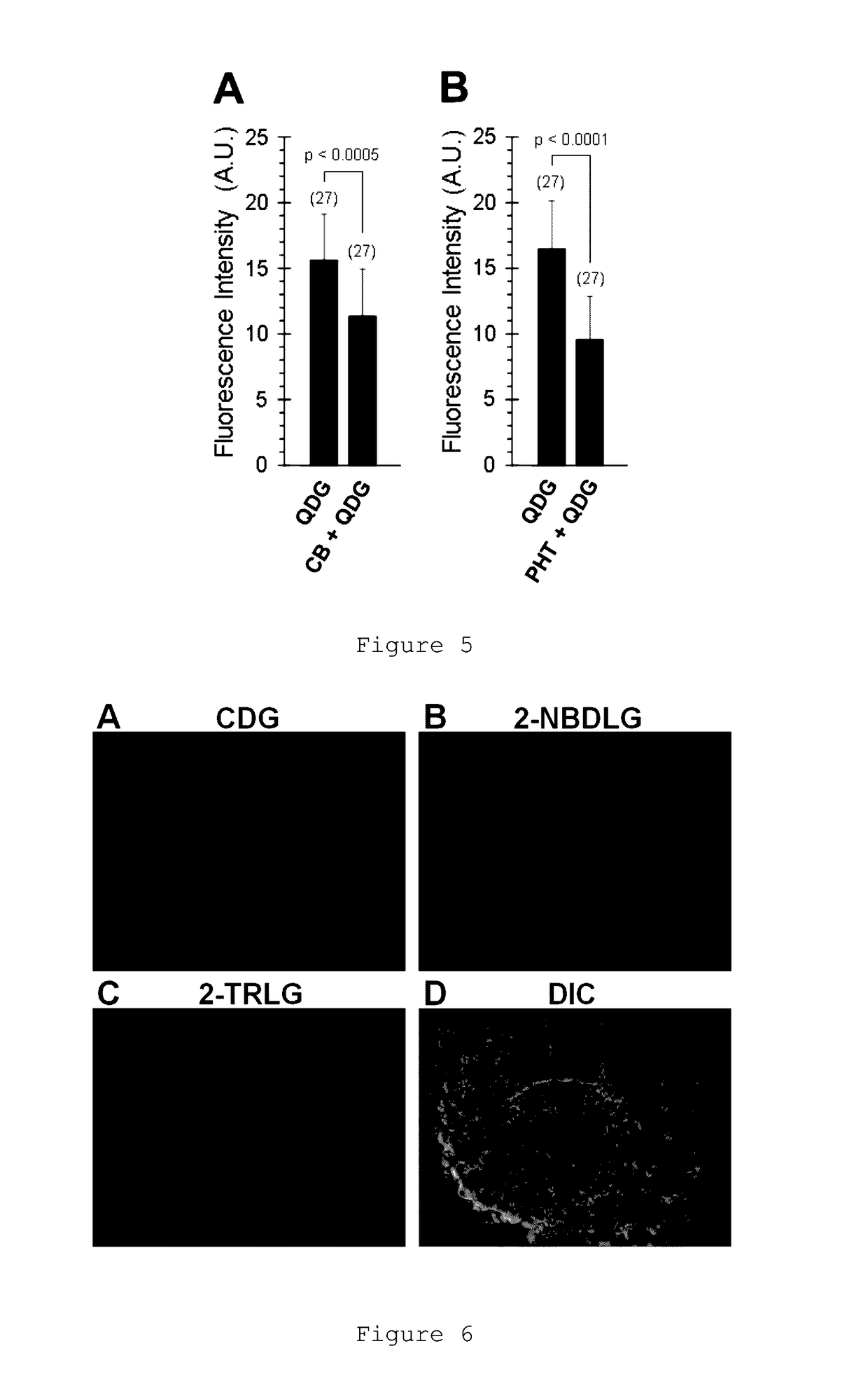 Novel glucose derivative, and cell imaging method and imaging agent using said derivative