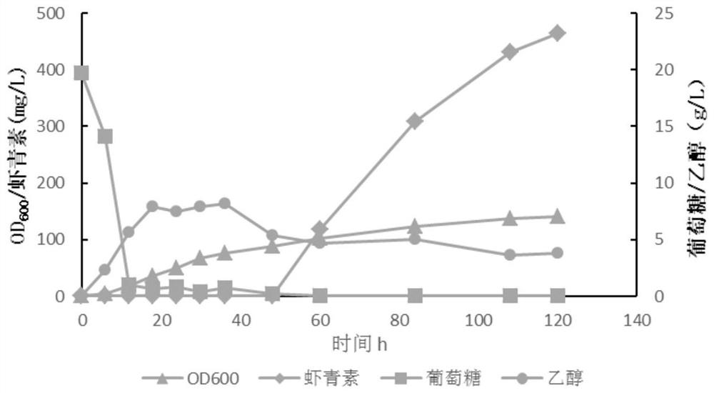 Recombinant saccharomyces cerevisiae for producing astaxanthin, and application of recombinant saccharomyces cerevisiae