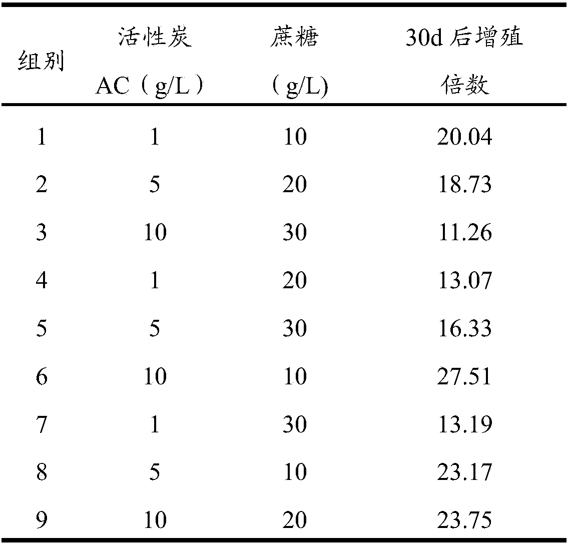 Lycium ruthenicum tissue culture adventitious bud ex-vitro rooting method