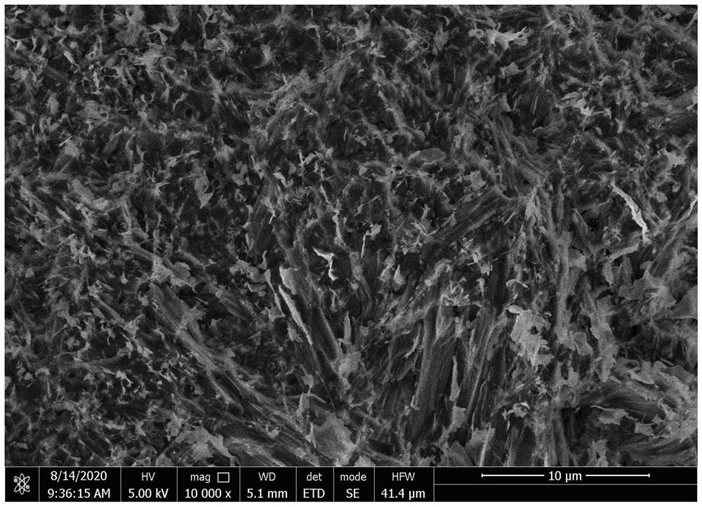 Cellulose/nano inorganic filler composite gel ink for 3D printing and preparation method of cellulose/nano inorganic filler composite gel ink