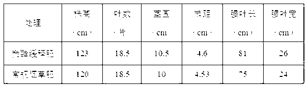 Carbon-vinegar slow-release biological fertilizer and application thereof