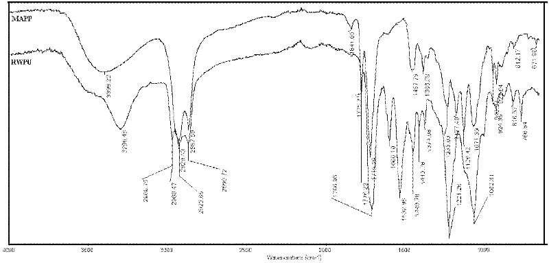 Acrylate modified maleopimaric acid aqueous polyurethane emulsion and preparation method thereof