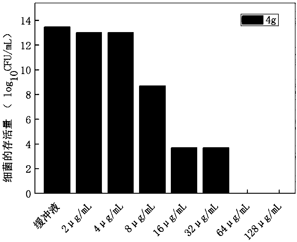 Amide aromatic phenol antibacterial peptide analogue with antibacterial activity and preparation method thereof