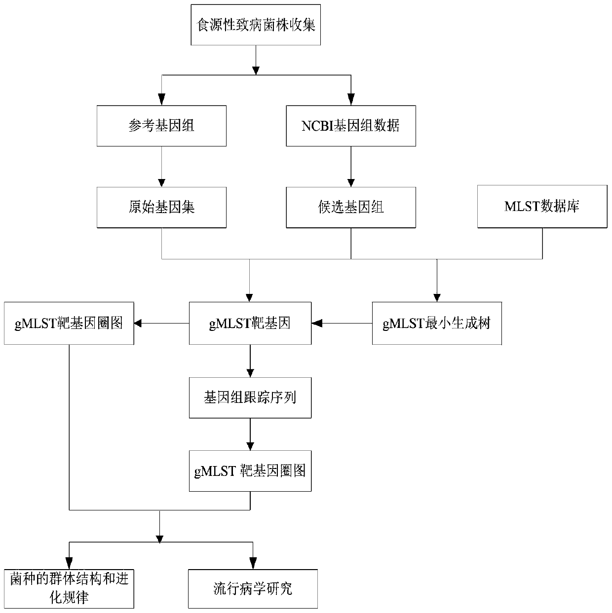 Salmonella source tracing typing method based on gMLST (genome multilocus sequence typing) technology and application