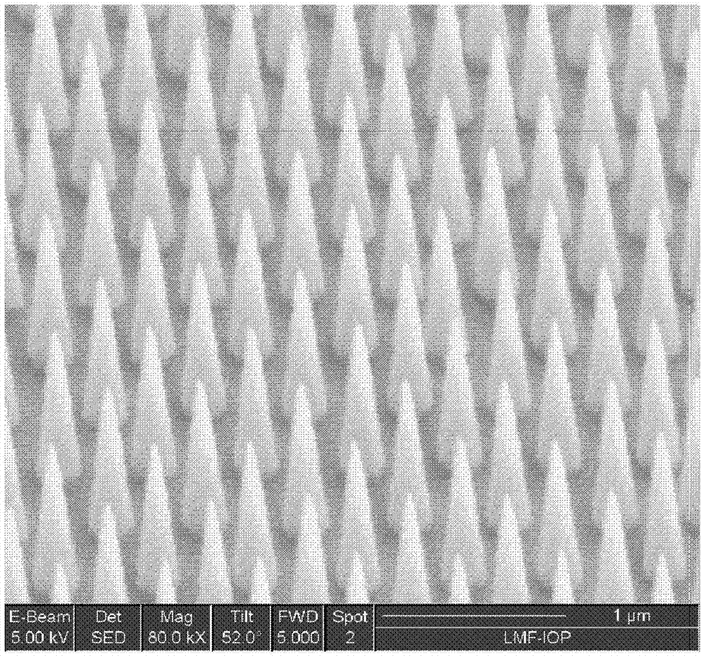 Method for preparing cone-shaped structure on gallium phosphide (GaP) surface