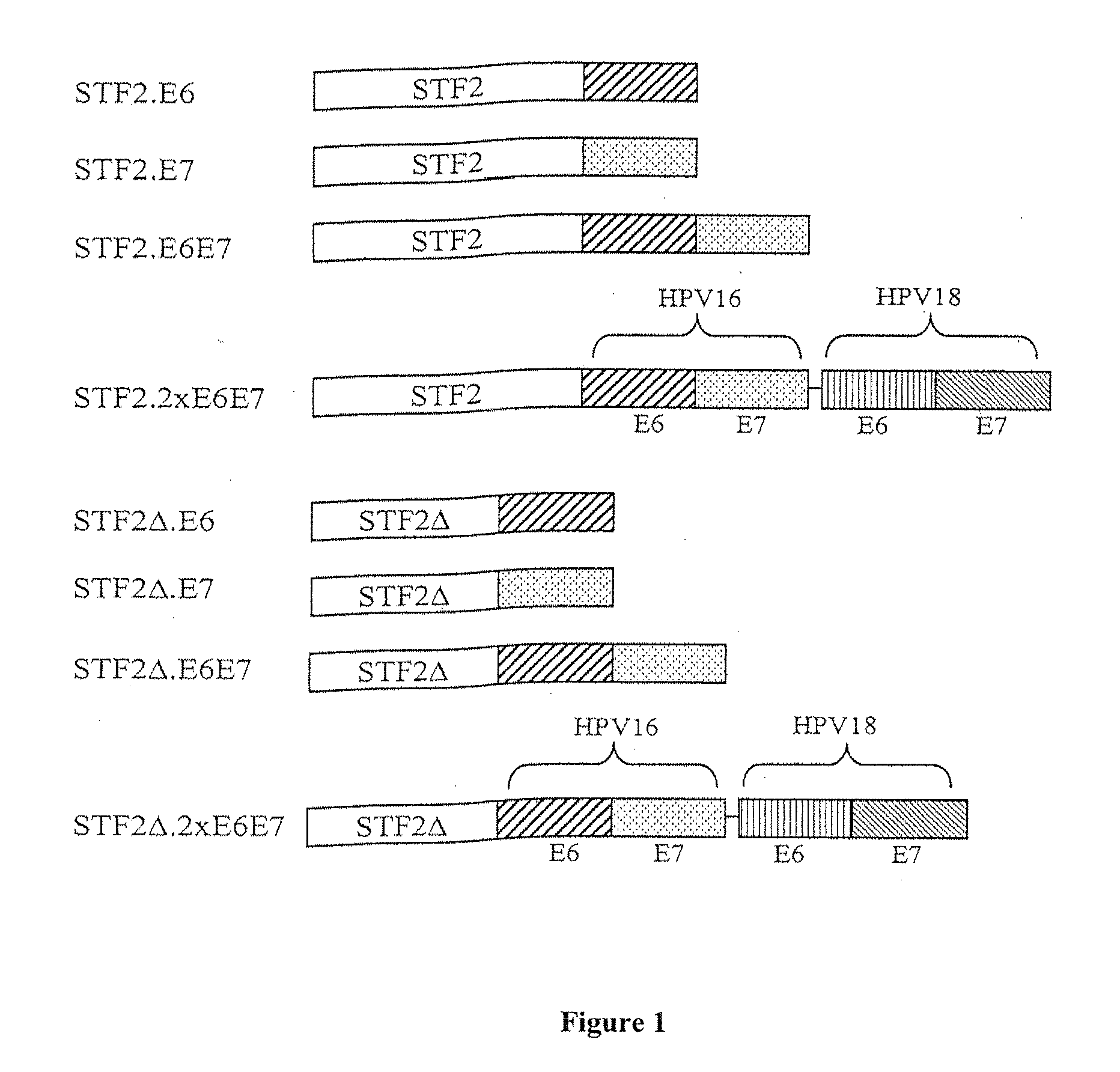 Compositions of toll-like receptor agonists and papillomavirus antigens and methods of use thereof