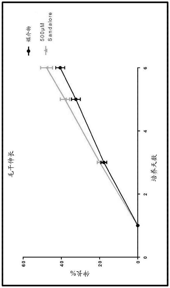 Compounds for promoting human hair growth and/or inhibiting or delaying hair loss and compositions for such use