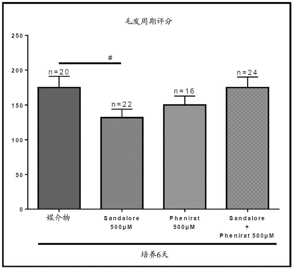 Compounds for promoting human hair growth and/or inhibiting or delaying hair loss and compositions for such use