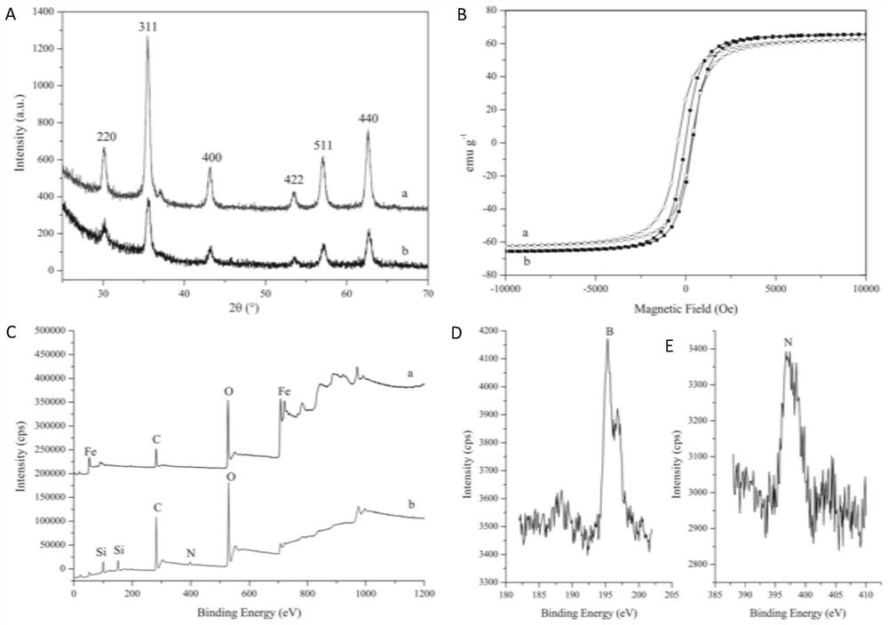 Preparation method and application of targeting enzyme immobilized carrier based on magnetic molecular imprinting technology