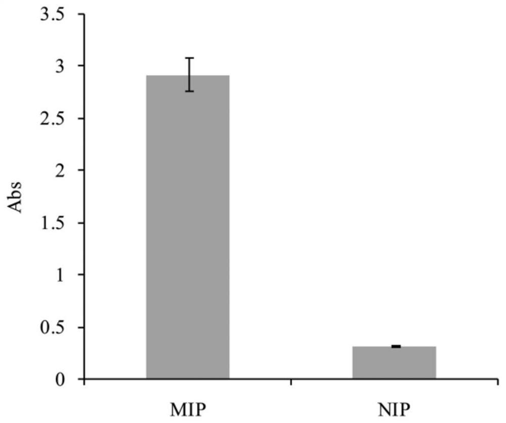 Preparation method and application of targeting enzyme immobilized carrier based on magnetic molecular imprinting technology