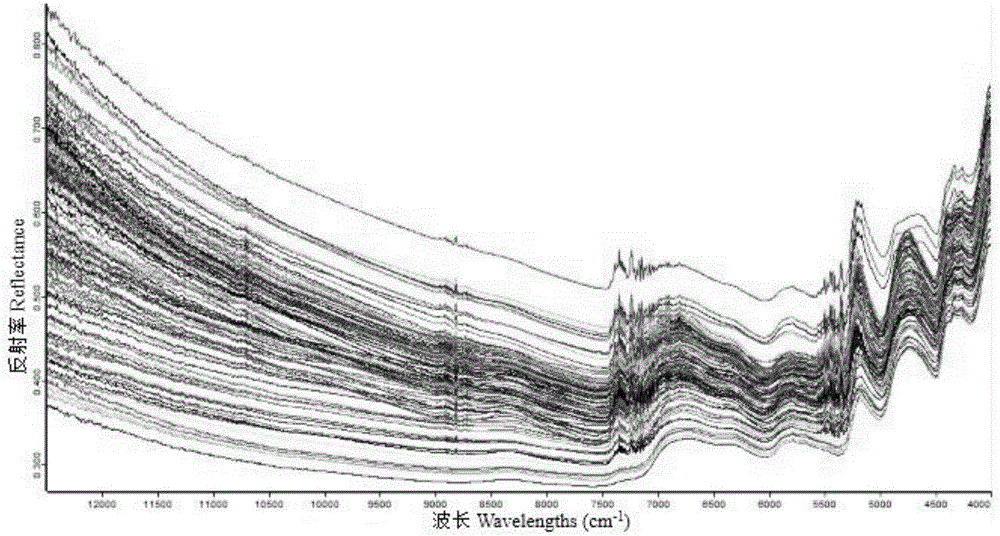 Determination method for content of Italian ryegrass neutral detergent fibers